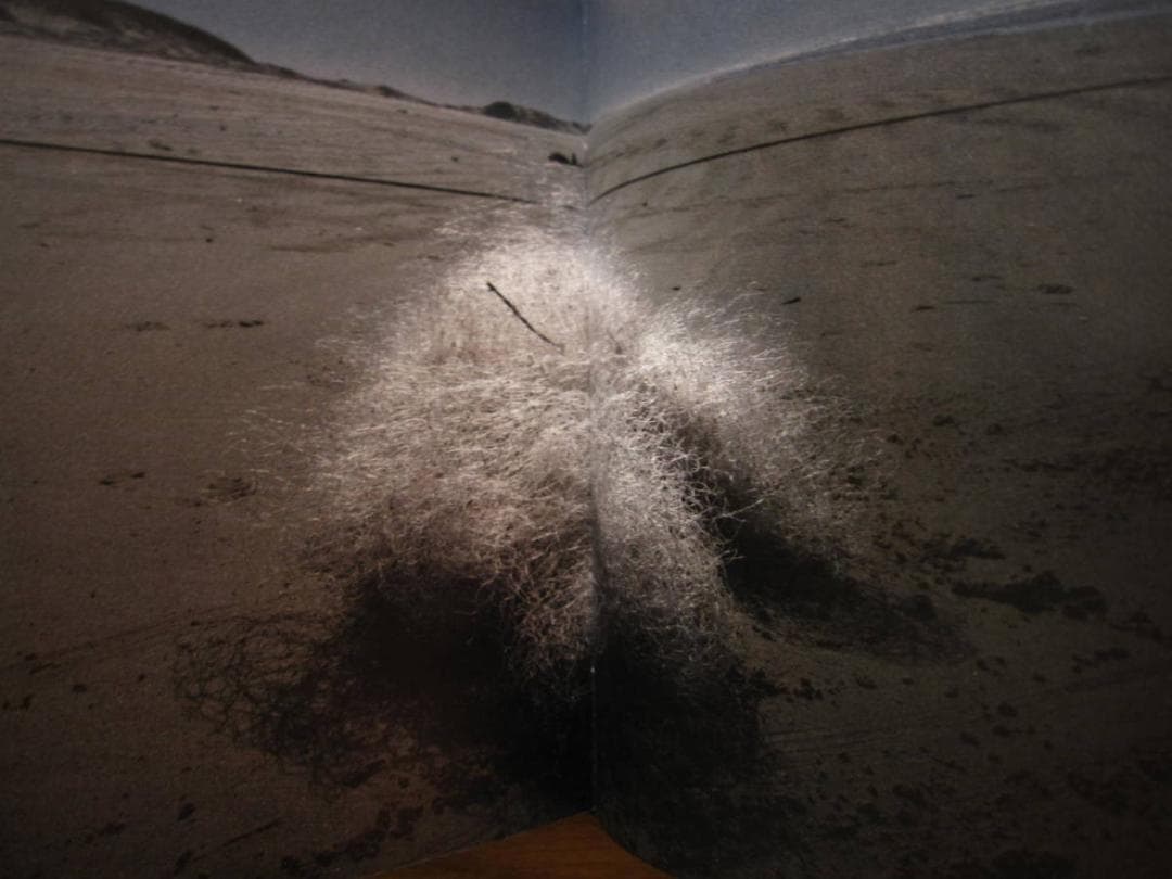 Saturno / Edu Monteiro　エドゥ・モンテイロ　私家版