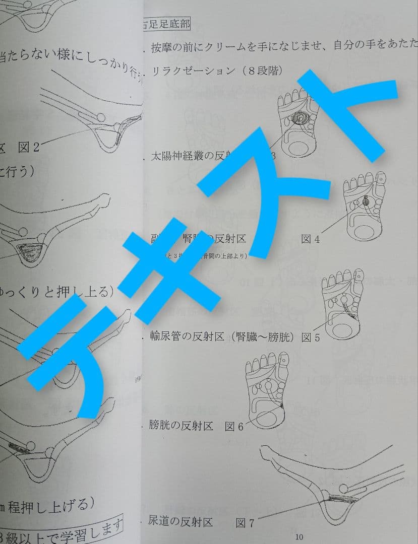 A6:足つぼ（DVD）学ぶ・足部反射療法自己練習用基礎編プロの教材set