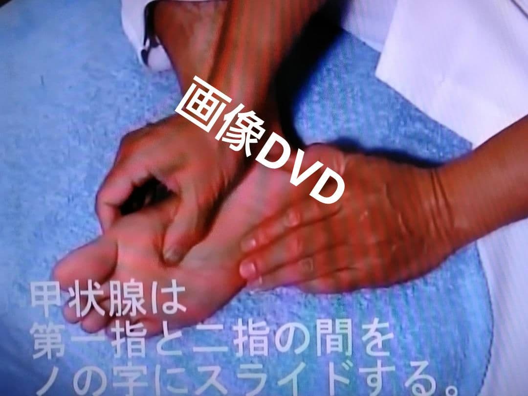 A6:足つぼ（DVD）学ぶ・足部反射療法自己練習用基礎編プロの教材set