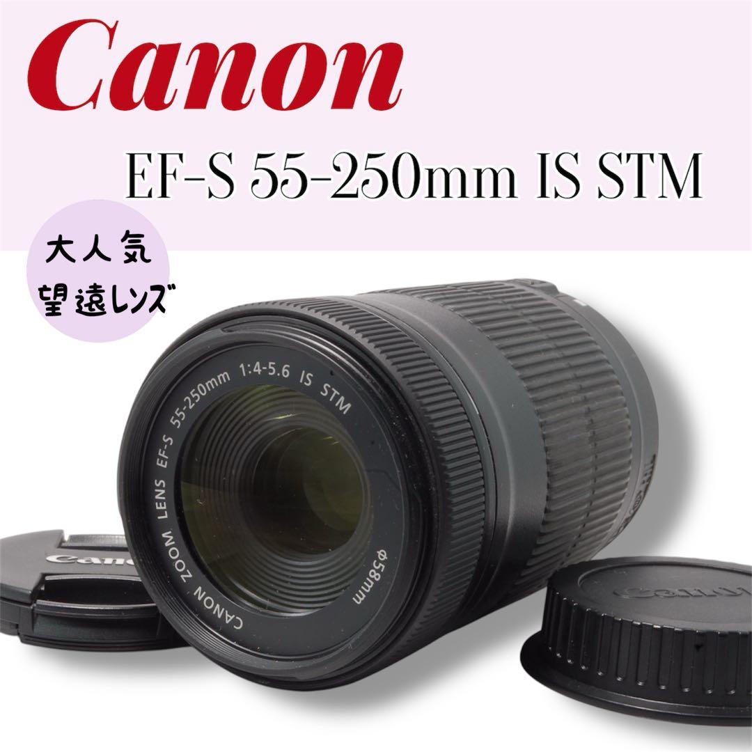 Canon EF-S 55-250mm IS STM 望遠レンズ 手ぶれ補正 Amazon.com : Canon EF-S 55-250mm f/4-5.6 IS STM Telephoto Zoom