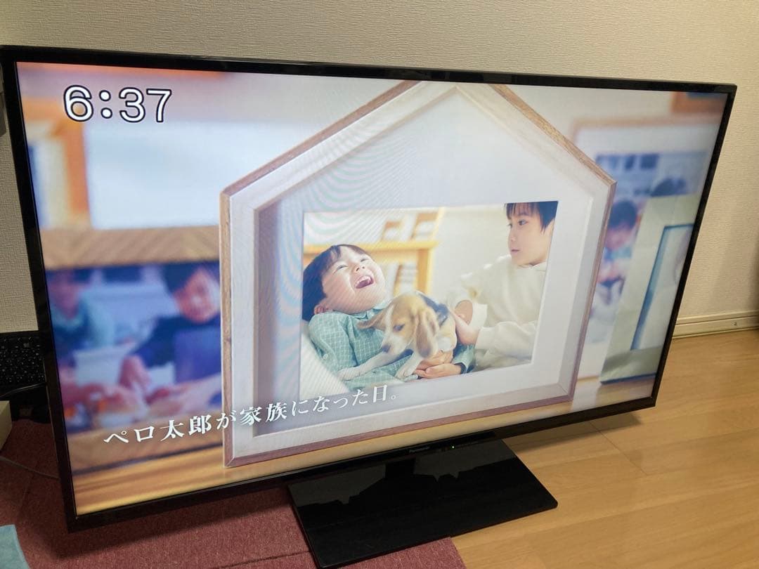 愛知県手渡し限定　パナソニック50型テレビ　ビエラ2013年TH-50A300 愛知県手渡し限定 パナソニック50型テレビ ビエラ2013年TH-50A300