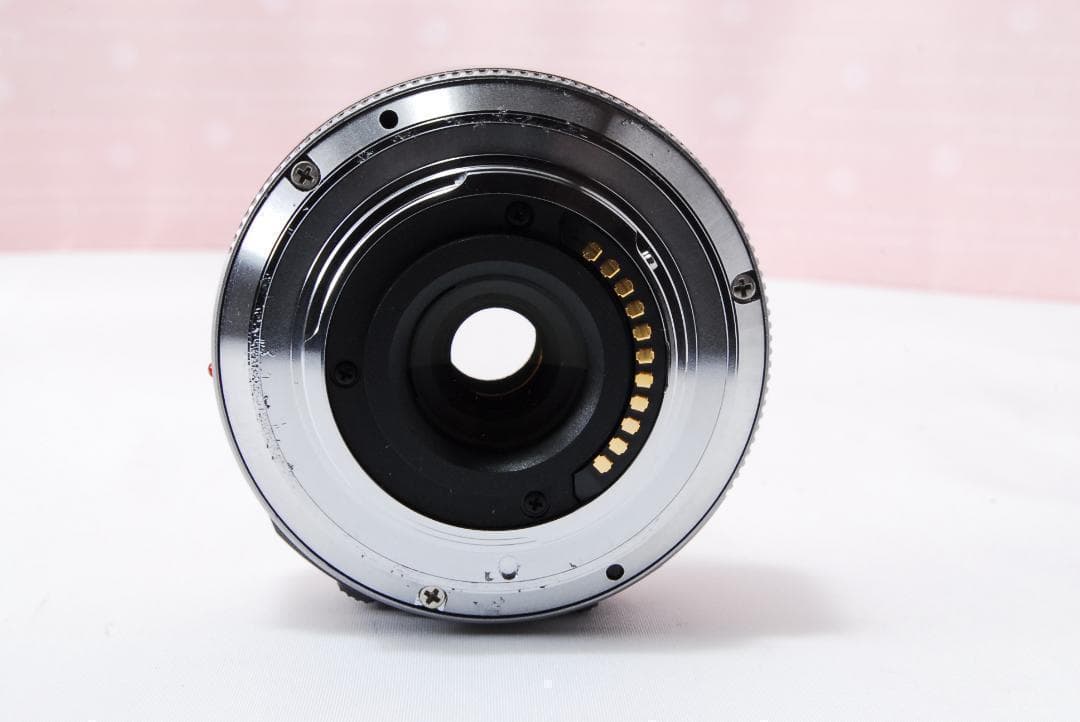 〓電動ズーム〓パナソニック G X VARIO 14-42mm F3.5-5.6