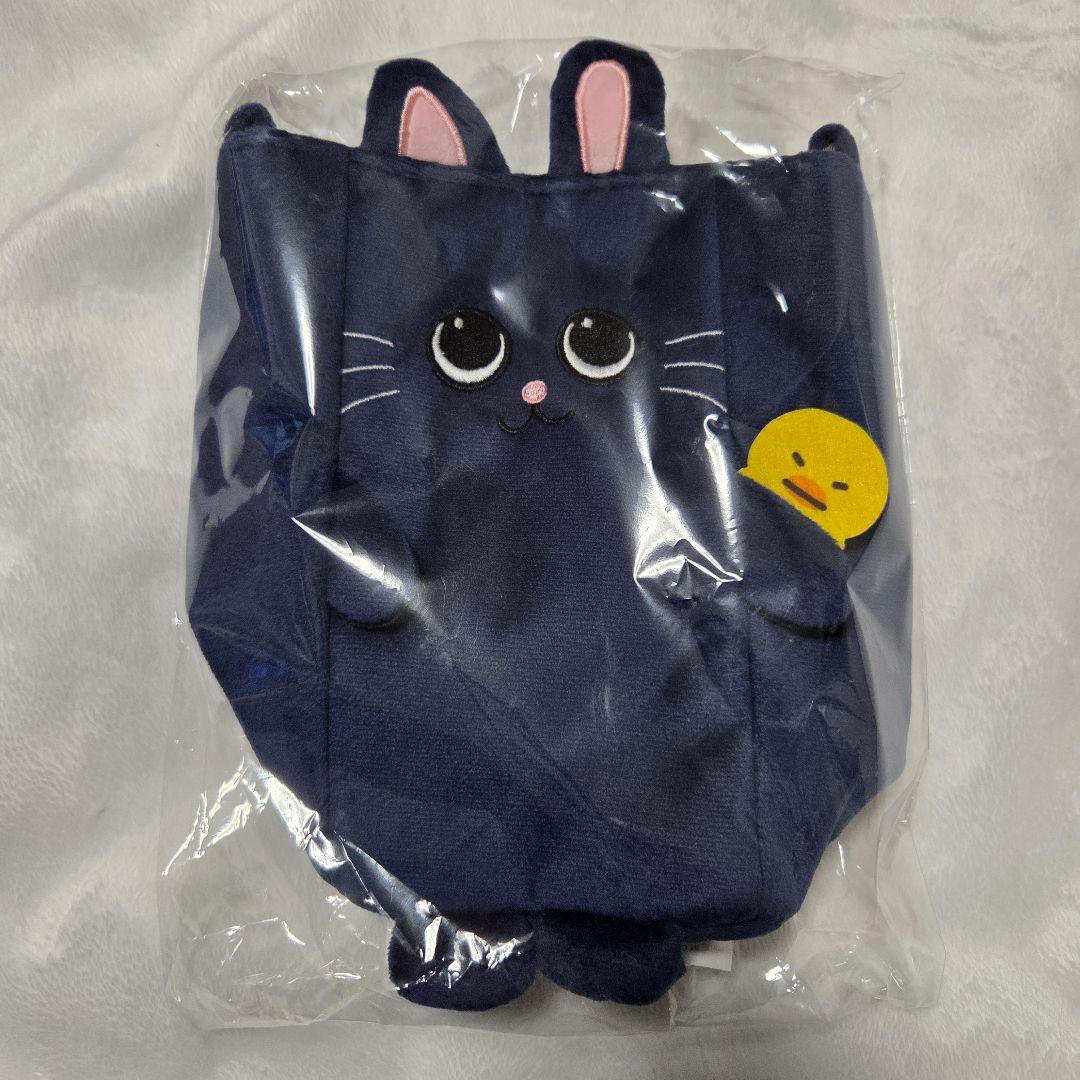 RIIZE RIIZING LOUD FANLIGHTバッグ ウォンビン - メルカリ