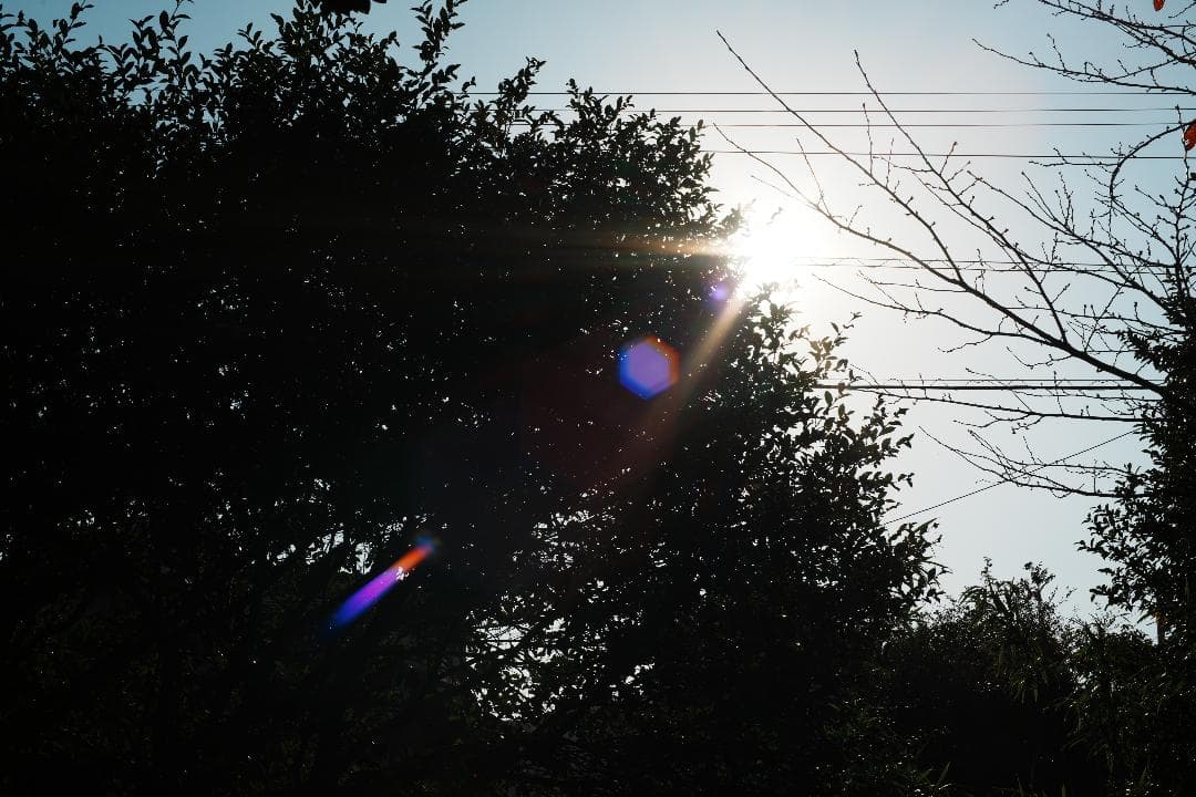 バブルボケ】動作◎ ミノルタ New MD 50mm F1.4 953 - メルカリ