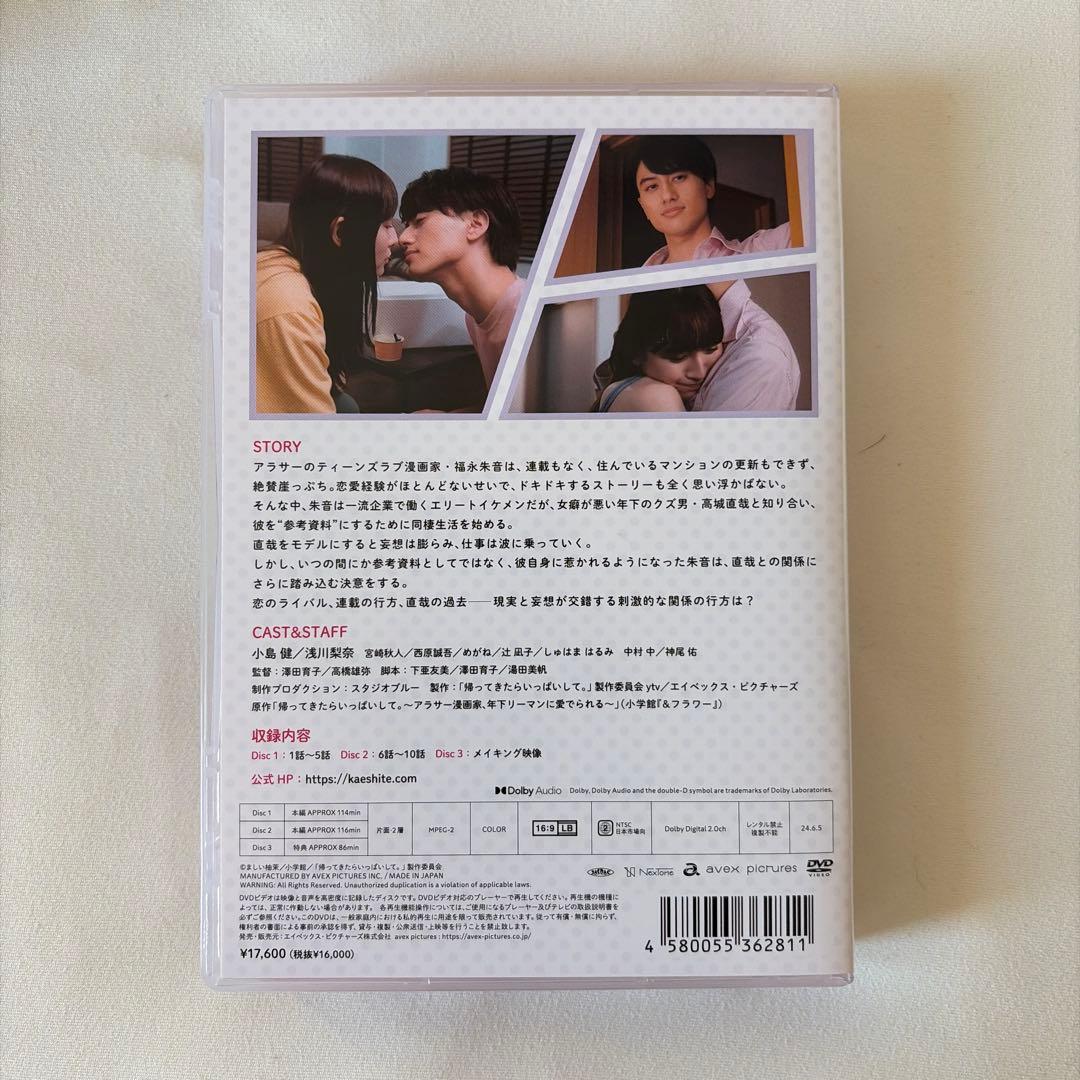 帰ってきたらいっぱいして。 DVD BOX