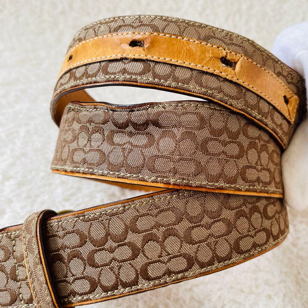 coach ベルト バタフライ シグネチャー ベージュ レザーベルト コーチ