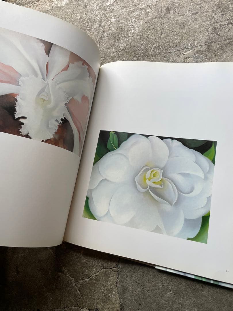 大型本 オキーフ画集 「花」 100頁 ニコラス・キャラウェイ/編・著