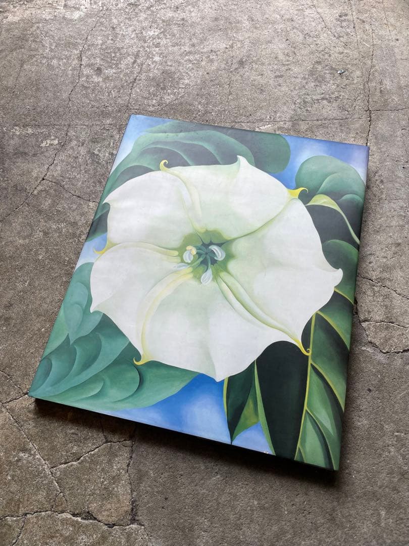 大型本　オキーフ画集 「花」　100頁　ニコラス・キャラウェイ/編・著 大型本 オキーフ画集 「花」 100頁 ニコラス・キャラウェイ/編・著