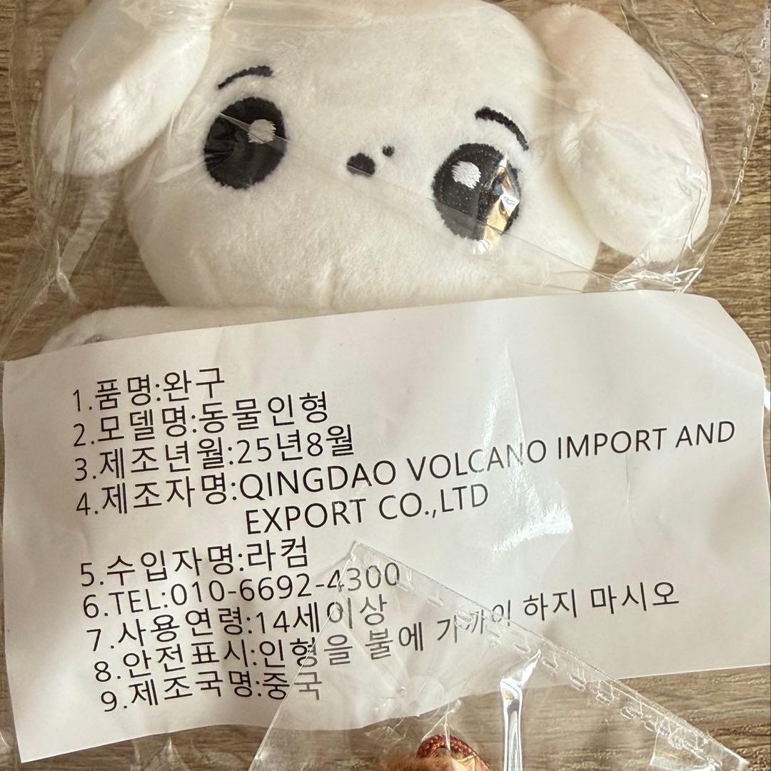 ALD1 ボイプラ2 サンヒョン ぬいぐるみ ドール10cm 인형 - メルカリ