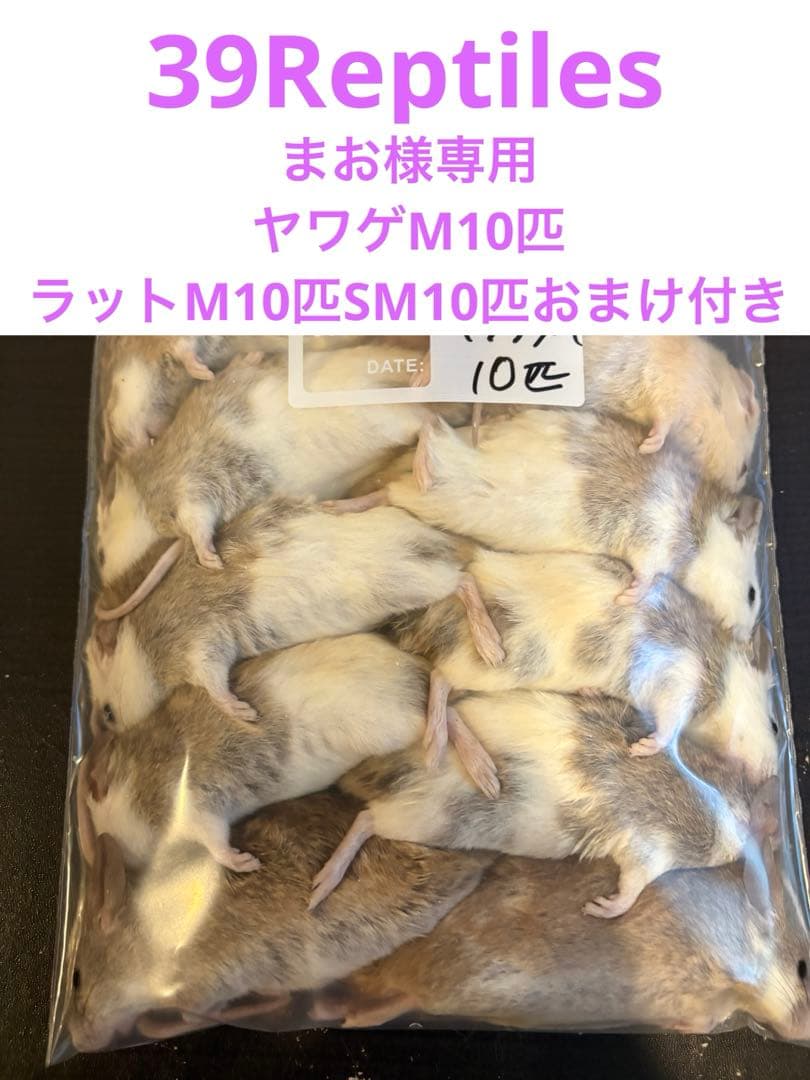 まお　冷凍ヤワゲM10匹ラットM10匹SM10匹おまけ付き！ まお様専用 冷凍ヤワゲM10匹ラットM10匹SM10匹おまけ付き！