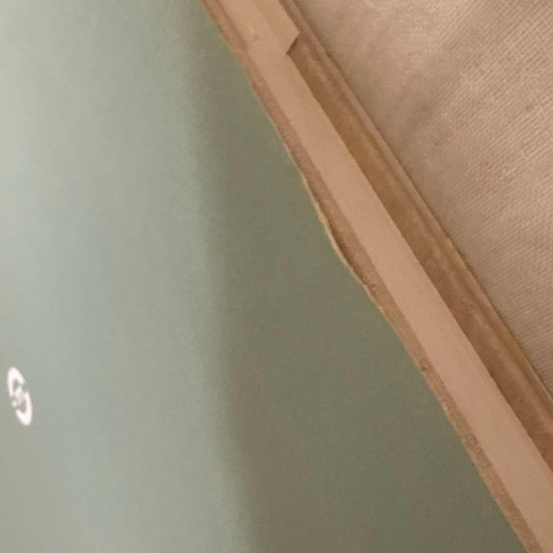 【希少本】中医正骨実技 孫維良著