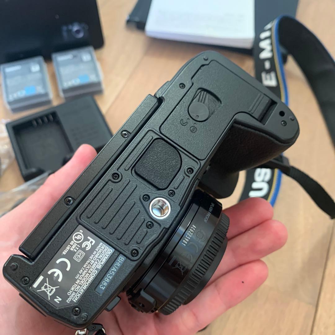 シャッター数 205】OLYMPUS OM-D E-M1 Mark II - メルカリ