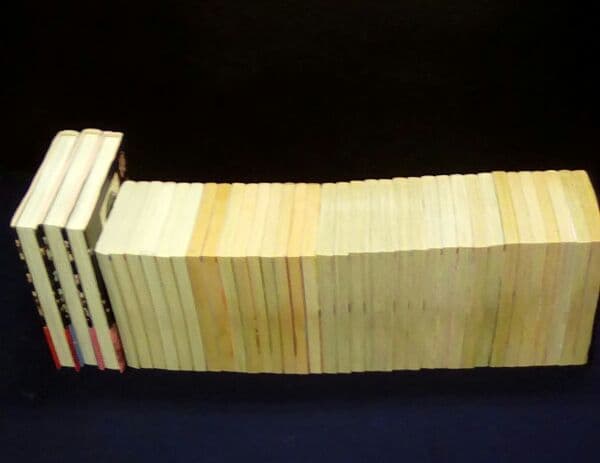 渡瀬悠宇　３７冊組　絶対彼氏　エポトランス舞