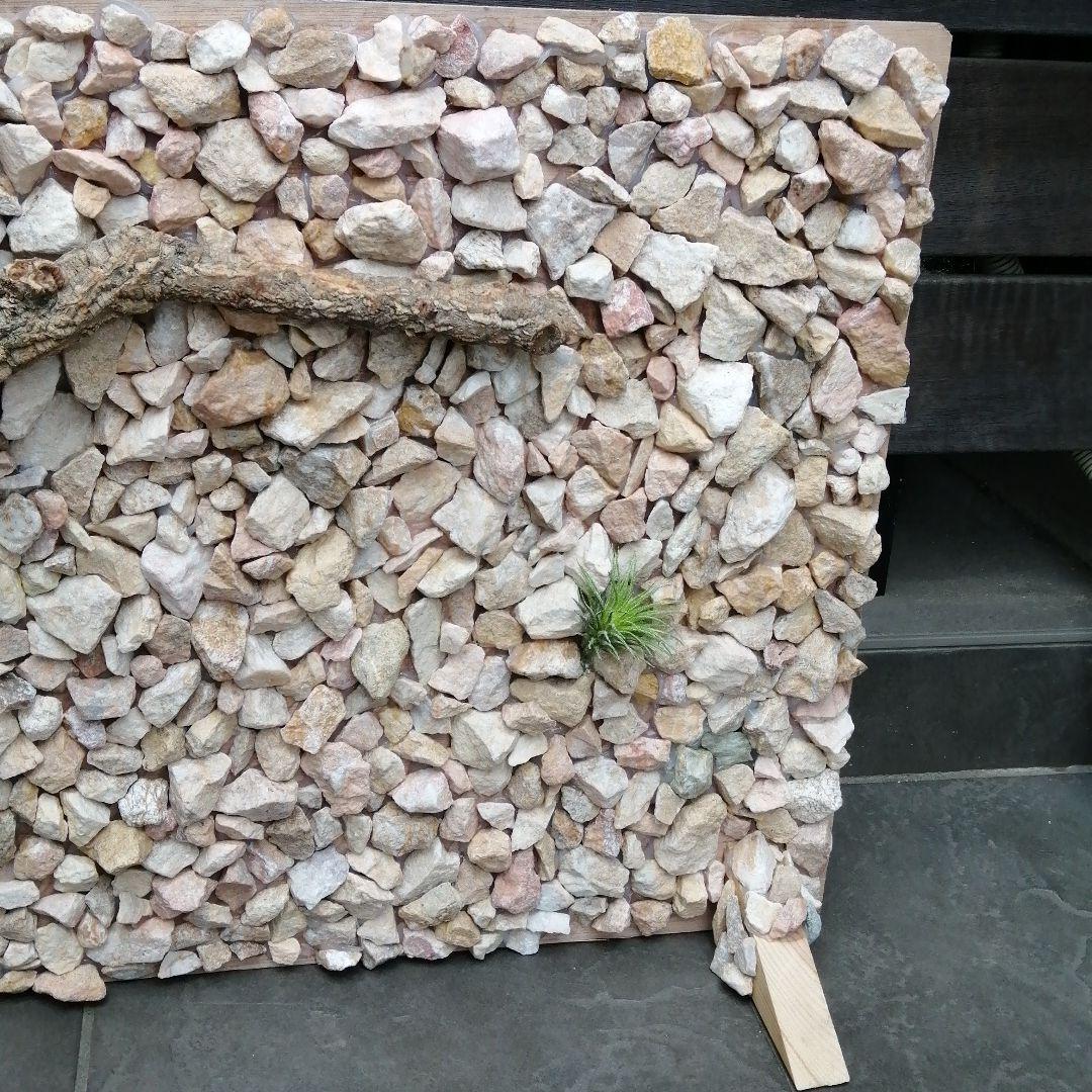 爬虫類ケージ用 バックボード - メルカリ