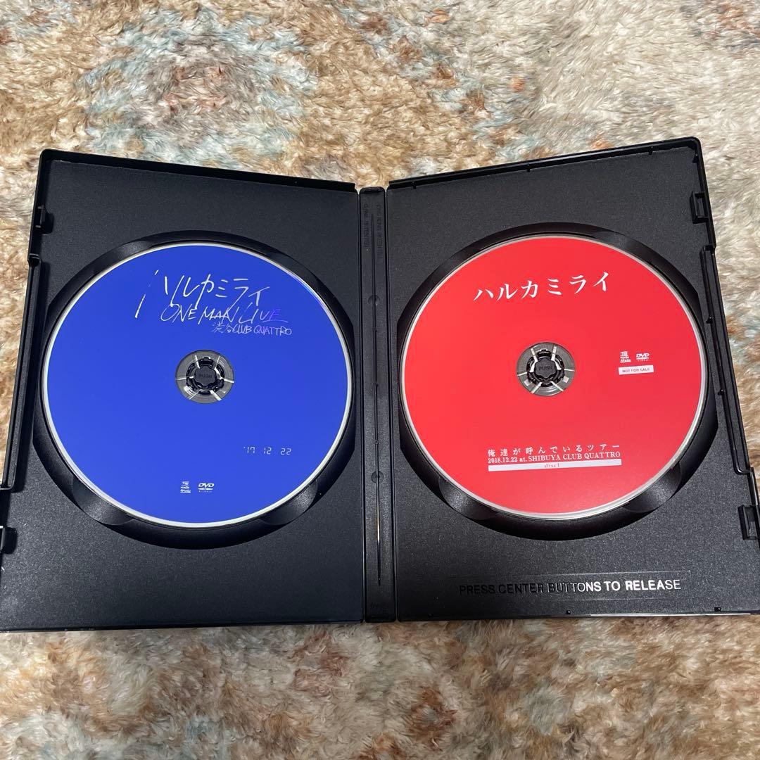ハルカミライ DVD