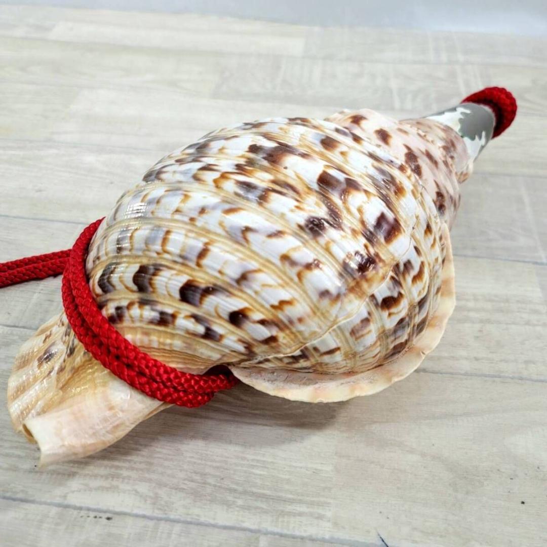 法螺貝 ホラ貝 約38cm 重量1276g(紐込) 山伏 修験道 魔除け 現状品