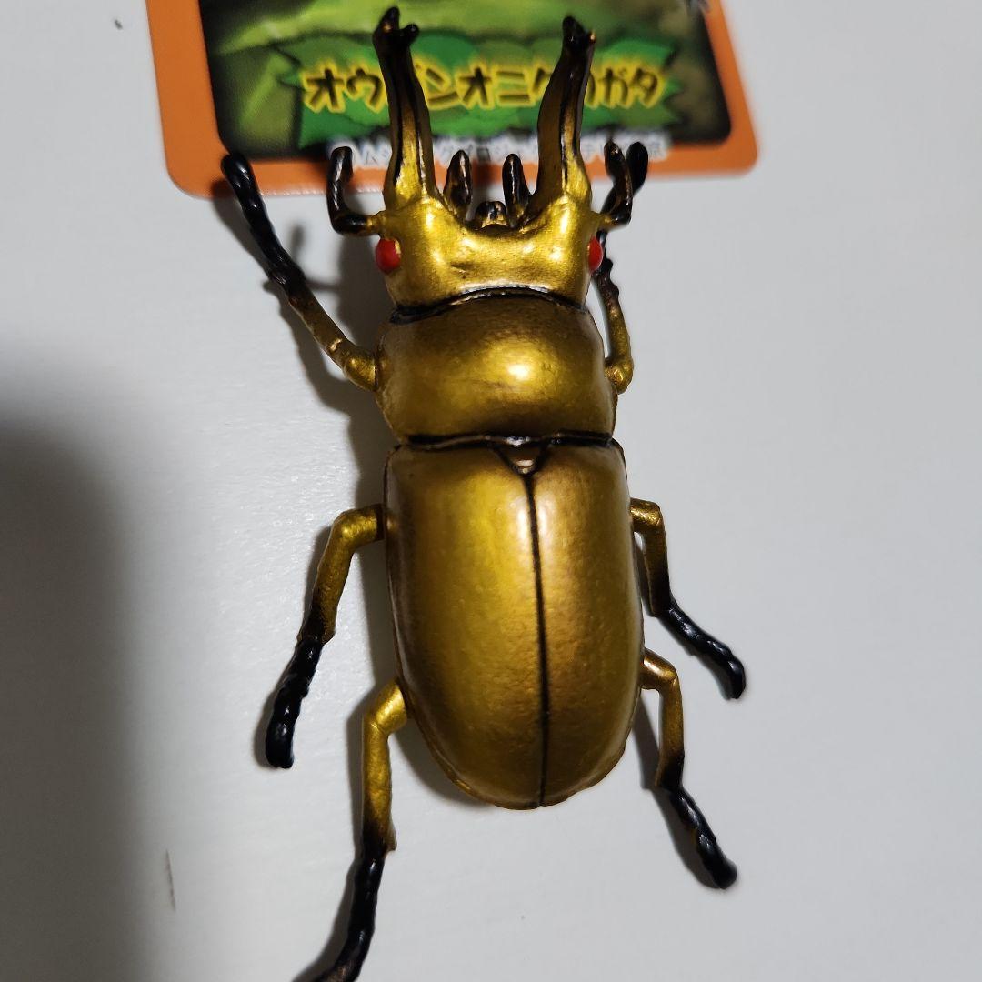 きょうさん専用 ムシキング甲虫図鑑フィギュア - メルカリ