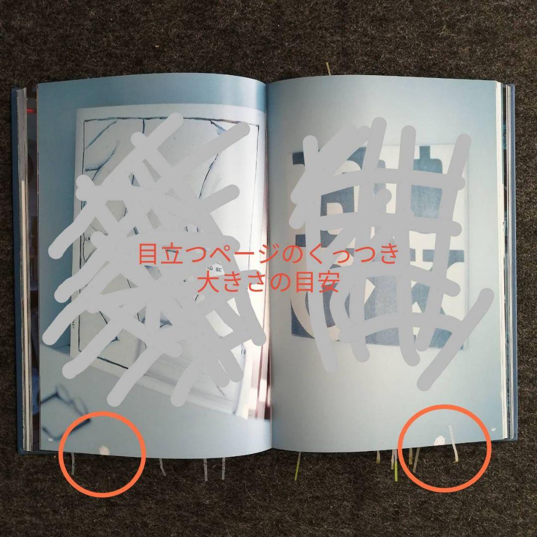 リチャード・プリンス写真集 アダルト コメディ アクション ドラマ