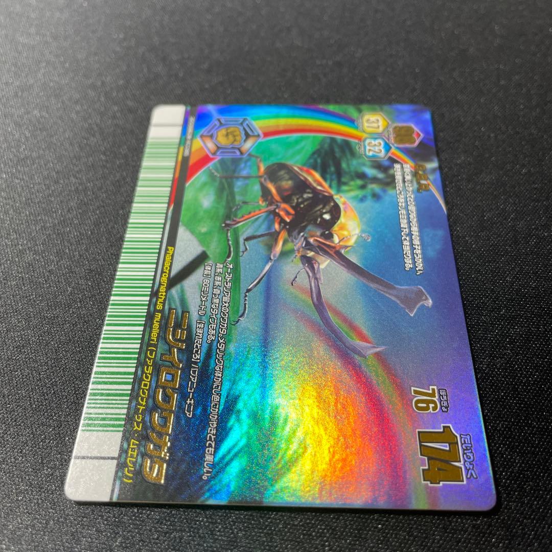 甲虫王者ムシキング 2008夏 ニジイロクワガタ (オレンジ)レインボー