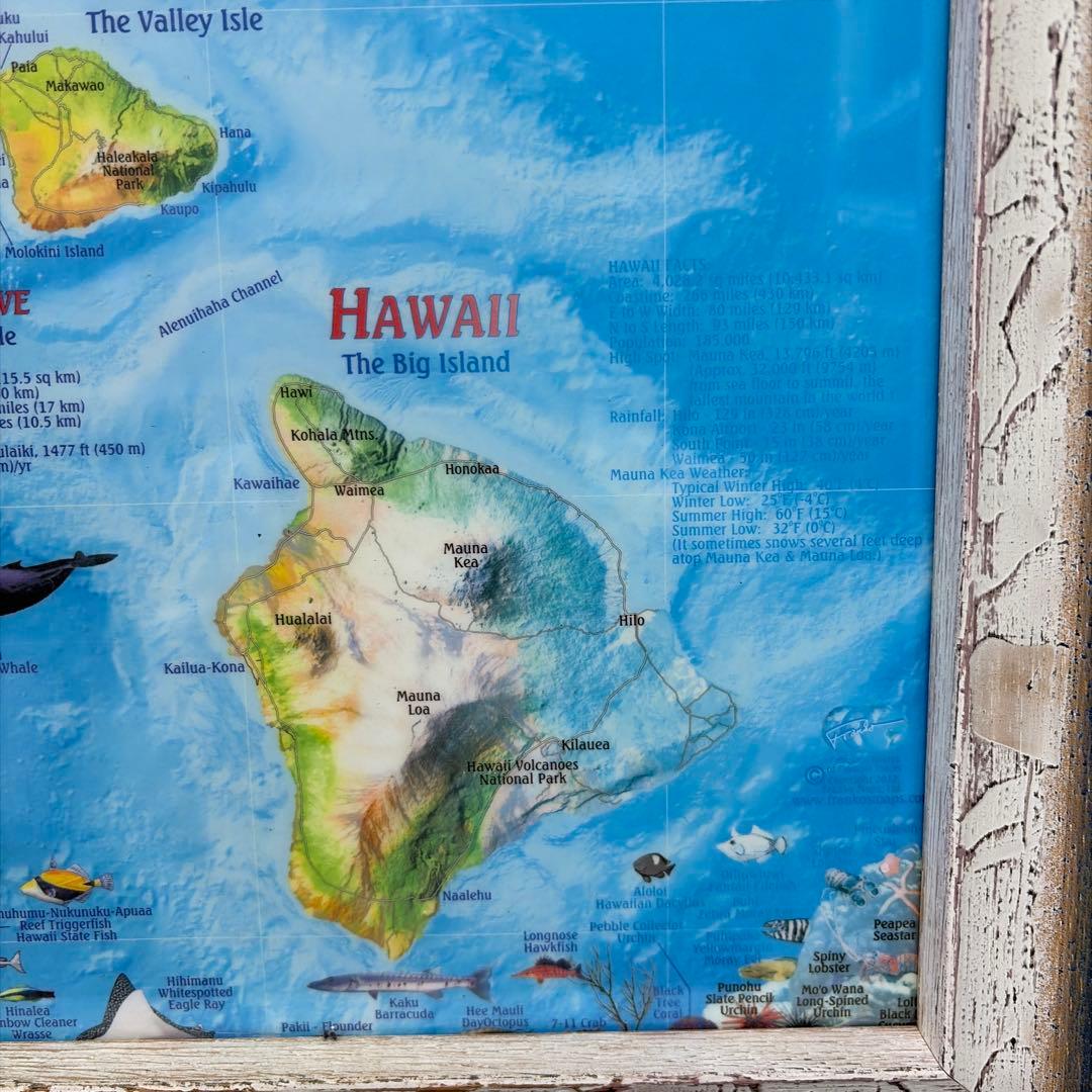 ハワイ島の説明絵画 | 激安通販のイーサプライ