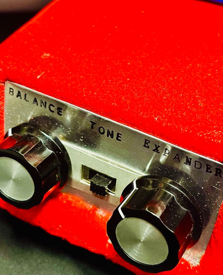 ギター DeliciousTaylormade SUPER de FUCK