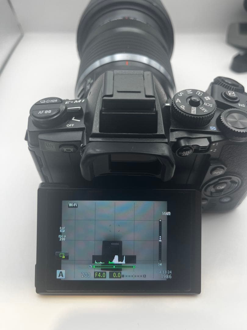 OLYMPUS OM-D EM-1 ボディ シャッター回数4241回 - メルカリ