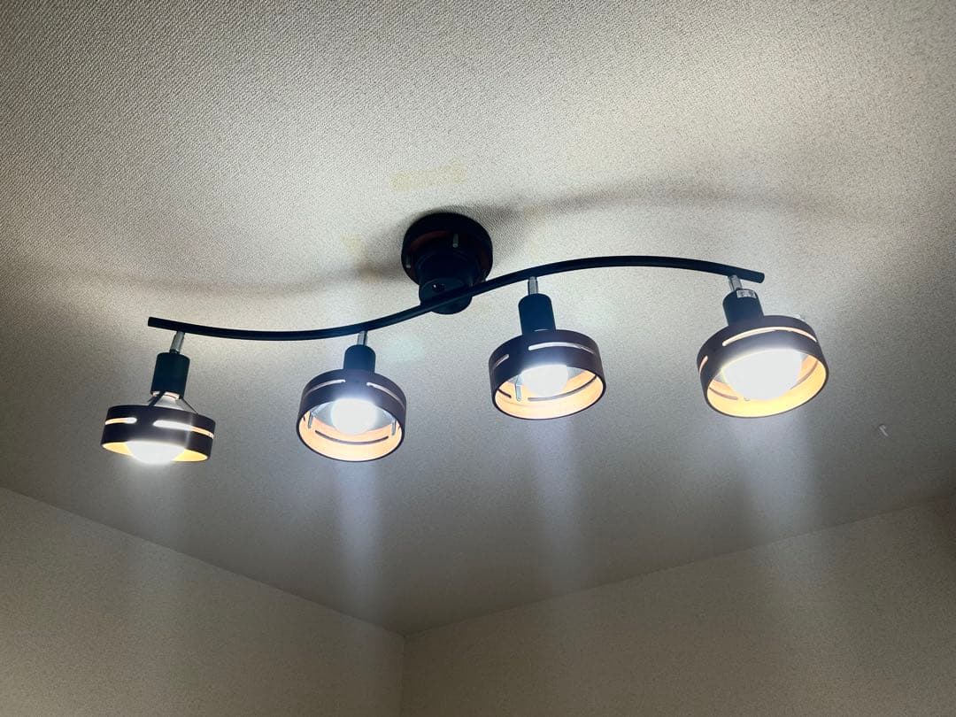 インターフォルム　シーリングライト　北欧ブラックアーチ Arche アーチェ シーリングライト | シーリングライト | INTERFORM INC