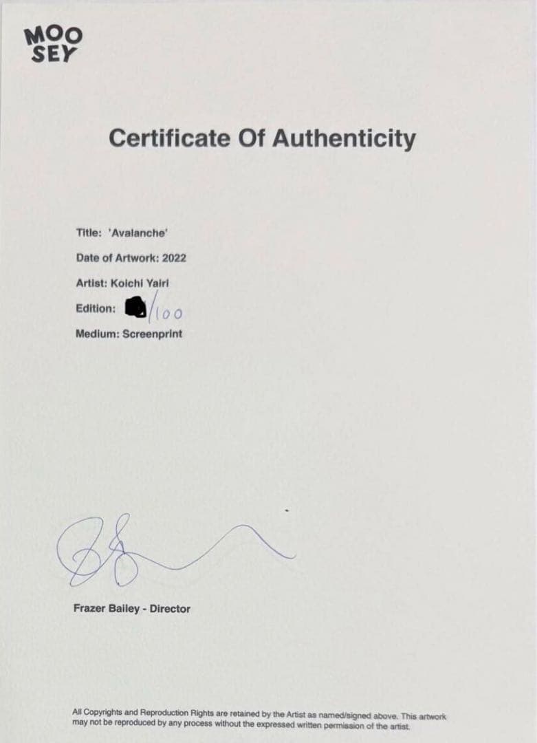 Avalanche シルクスクリーン 矢入幸一 - メルカリ