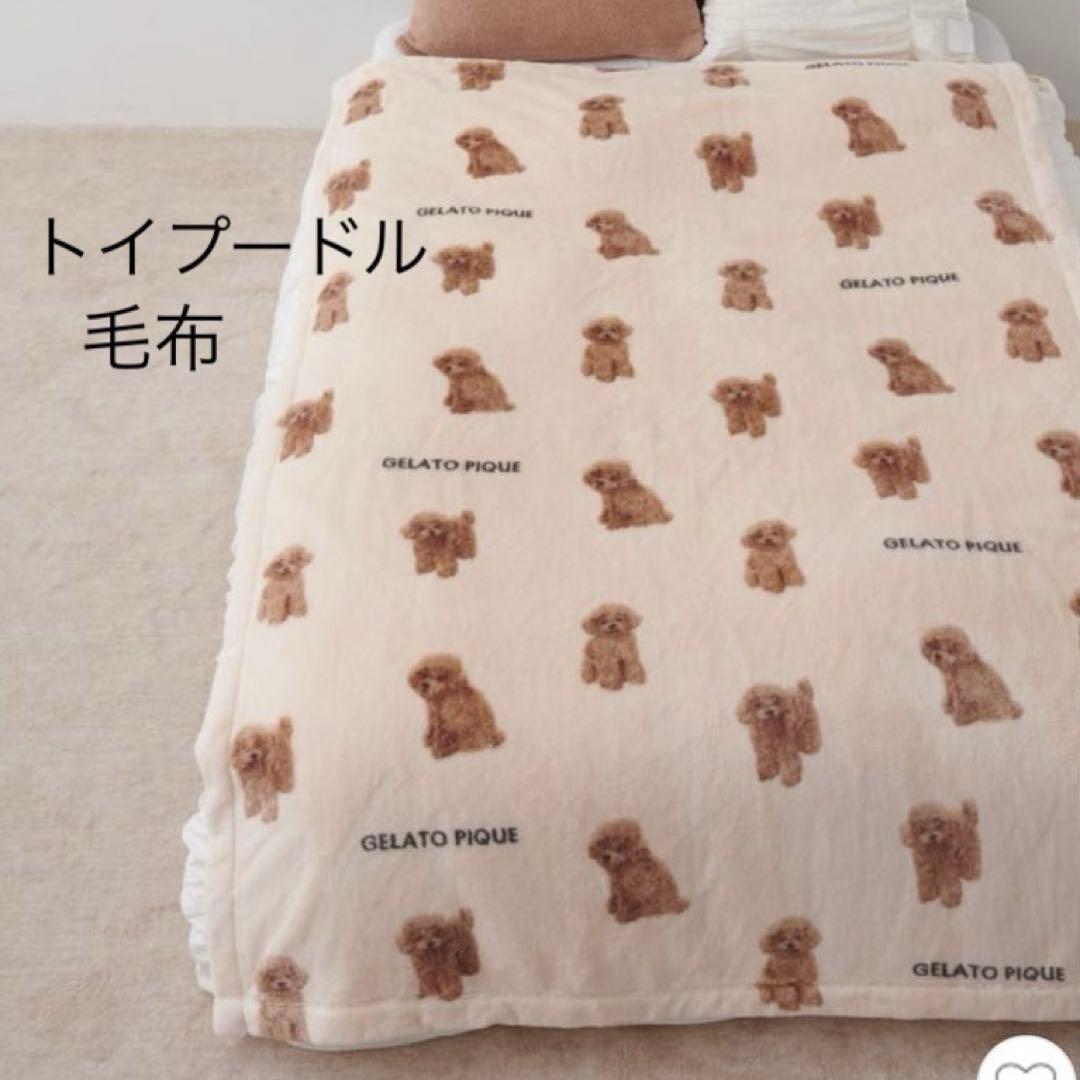 ジェラートピケ Sleep DOGプリント毛布 トイプードル ブランケット