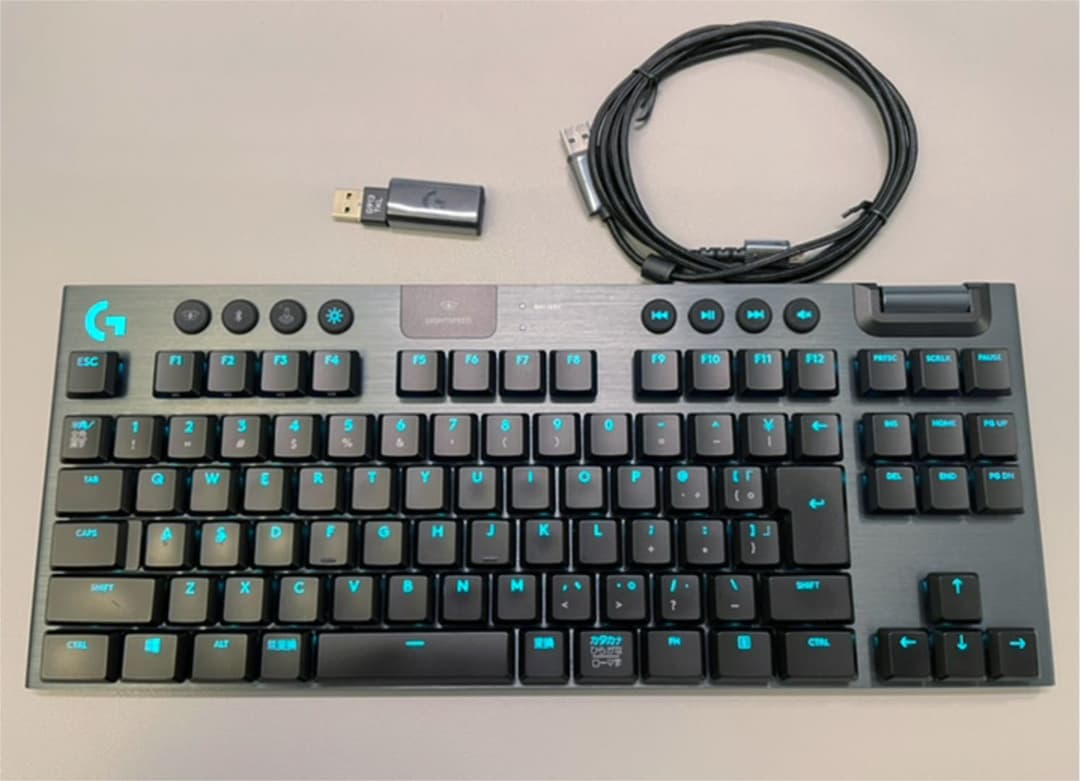 フランスアンティーク 人気 古邸宅カーテン生地 朽ちた美を纏う