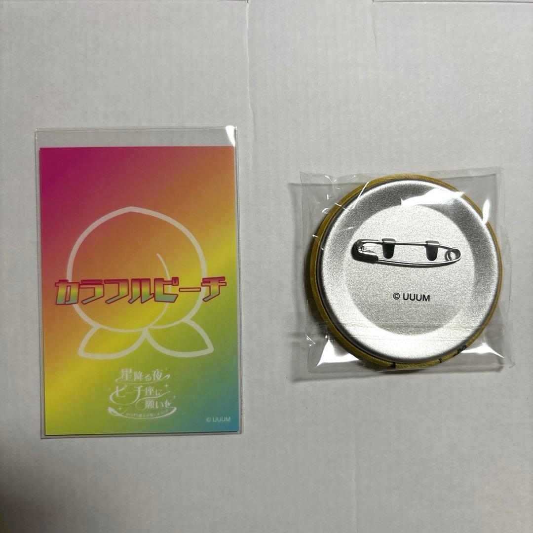 カラフルピーチ 魔法学園 刺繍缶バッチ たっつん - メルカリ