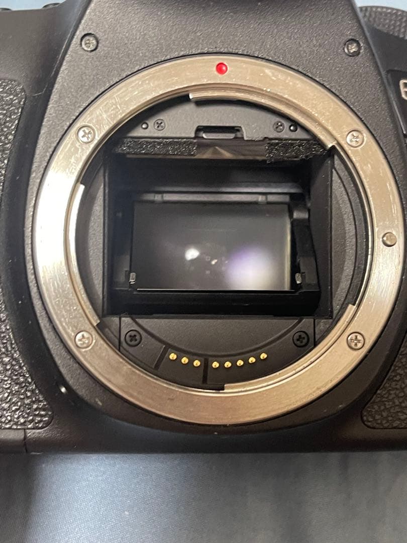 Canon EOS 6D + EF 50mm f1.8 STM レンズセットの通販はau PAY