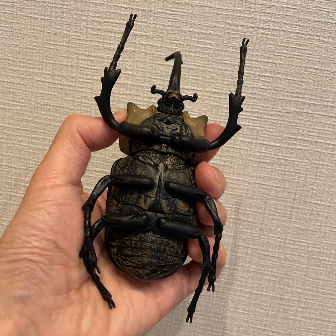 エレファスゾウカブト‪ フィギュア 昆虫標本 約16cm、105g - メルカリ‬