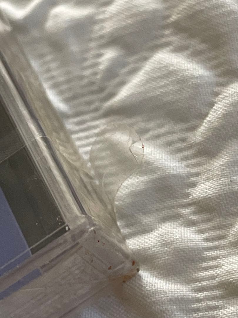 未開封MADONNA/1983-1989/pcs-28/SAMPLER、日本盤