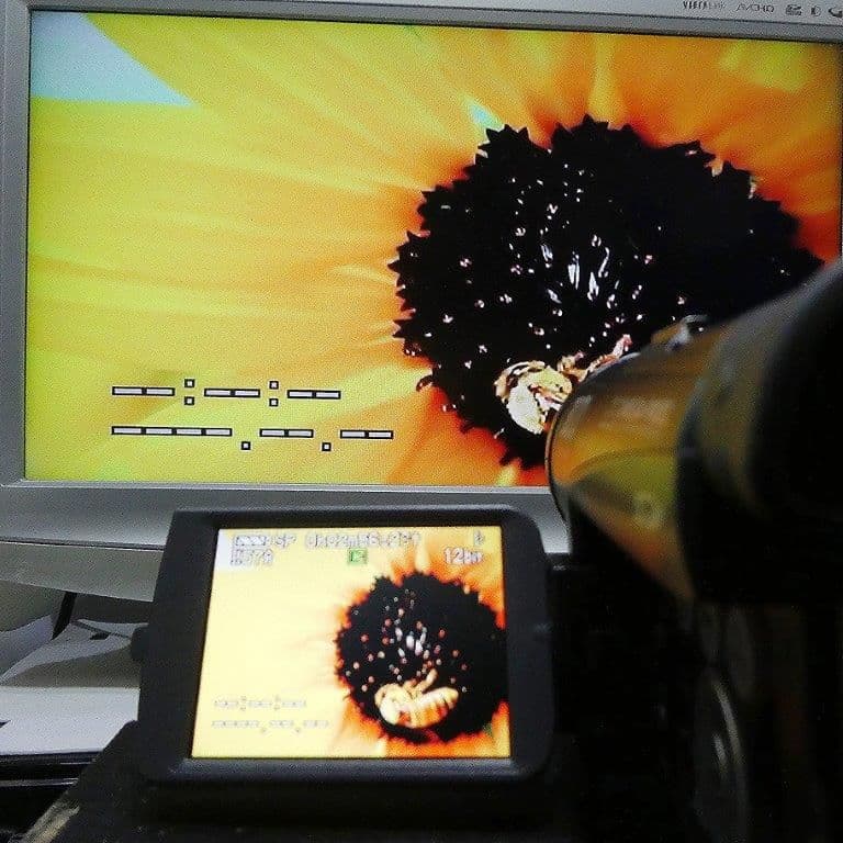 美品・動作良好 パナソニックNV-GS200 MiniDVビデオ DVD化に最適