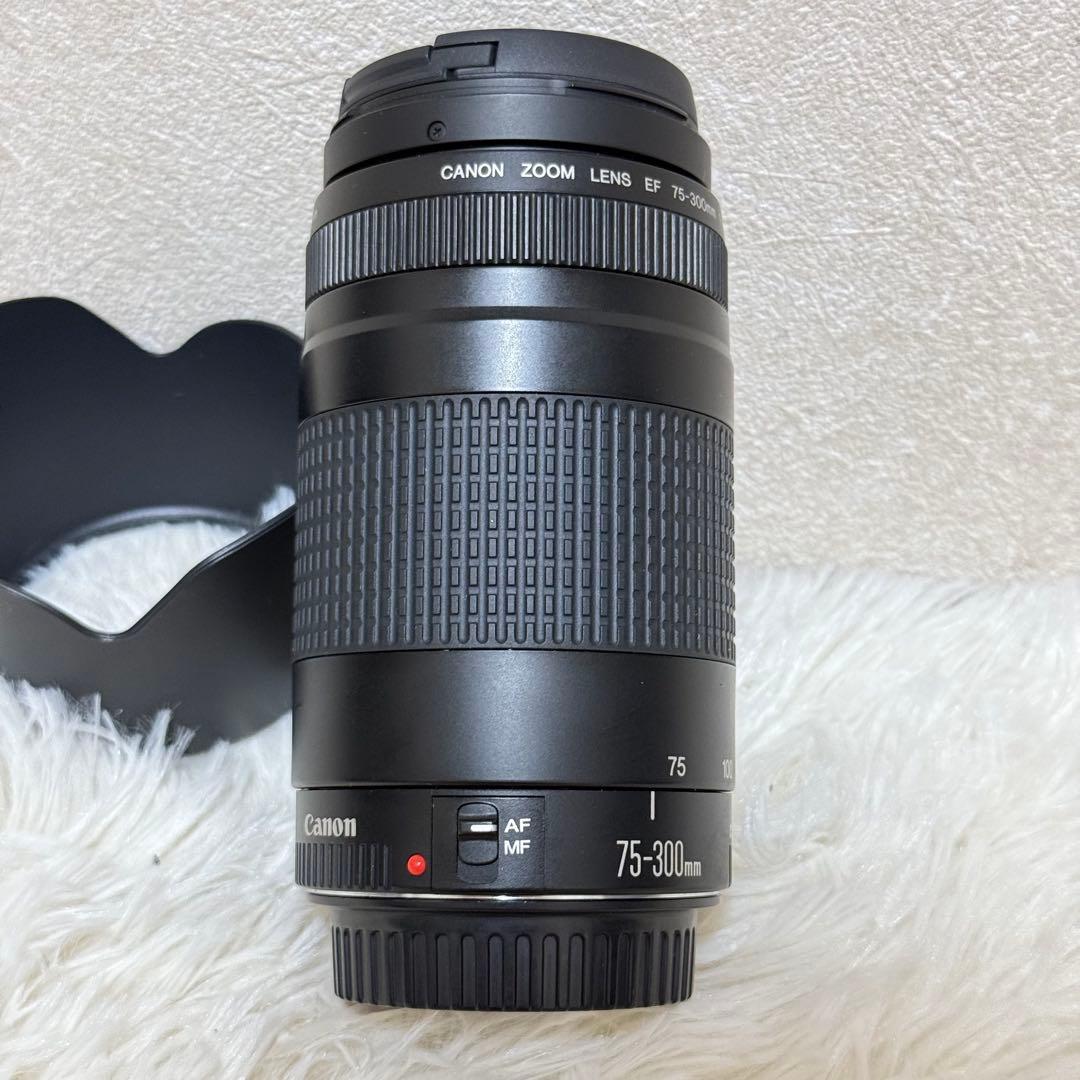 ⭐️完動品⭐️キャノン Canon EF 75-300mm F/4-5.6 II