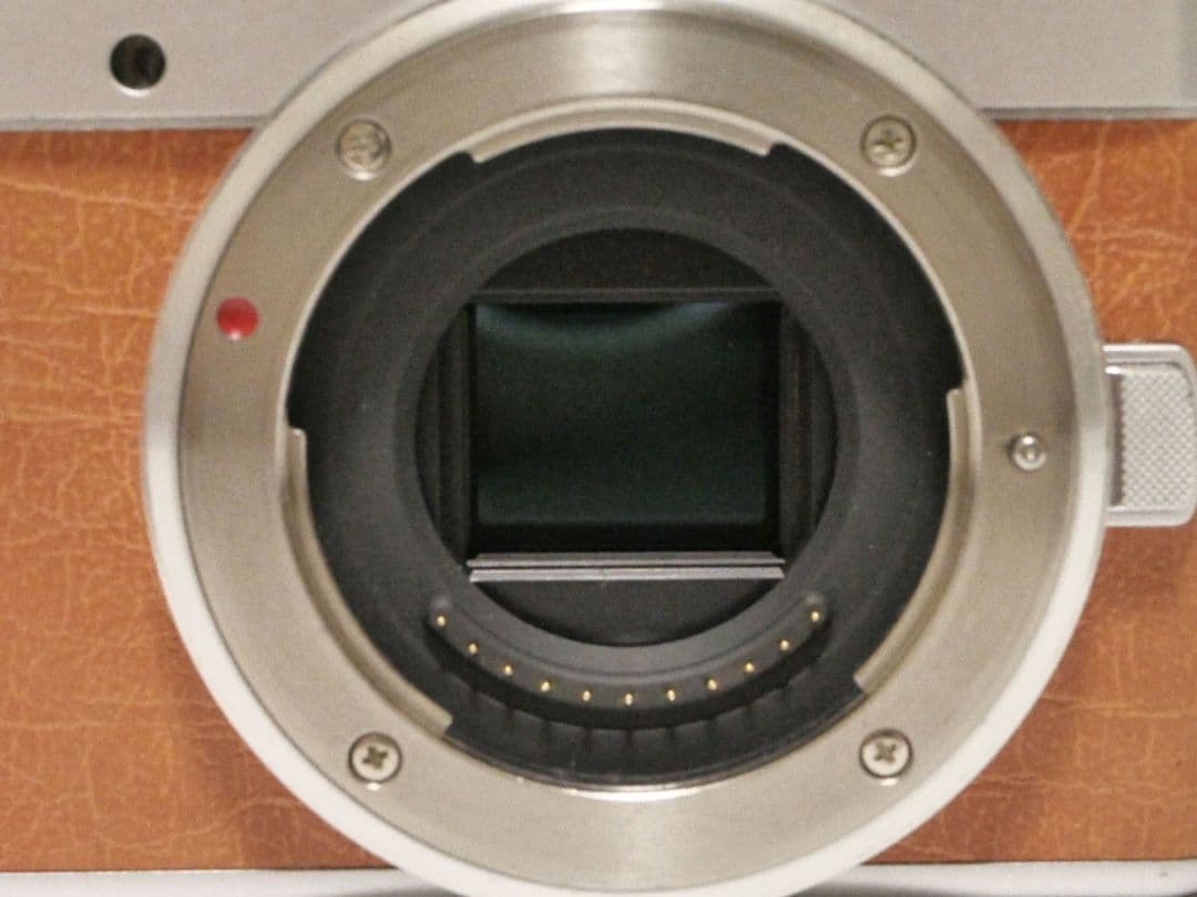 保証有 LUMIX GF10 望遠レンズセット EFレンズ遊びも可能 Panasonic DC