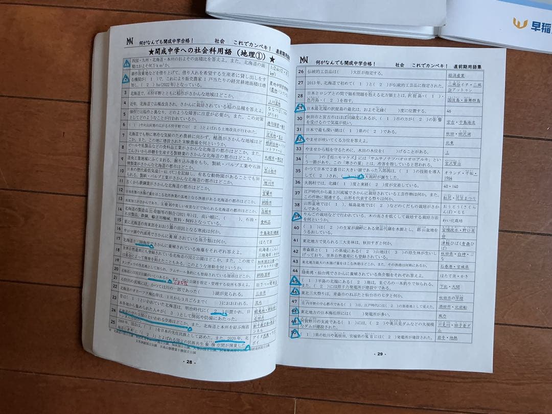 早稲田アカデミー NN 理科 これだけ基本事項 これカン 教材 非売品