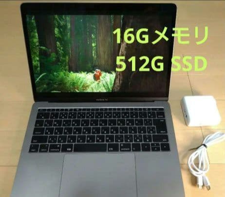 MacBook Pro 13 2016 16GB 512GB SSD 美品 MacBook Pro (13-inch, 2016, Two Thunderbolt 3 ports) - Technical