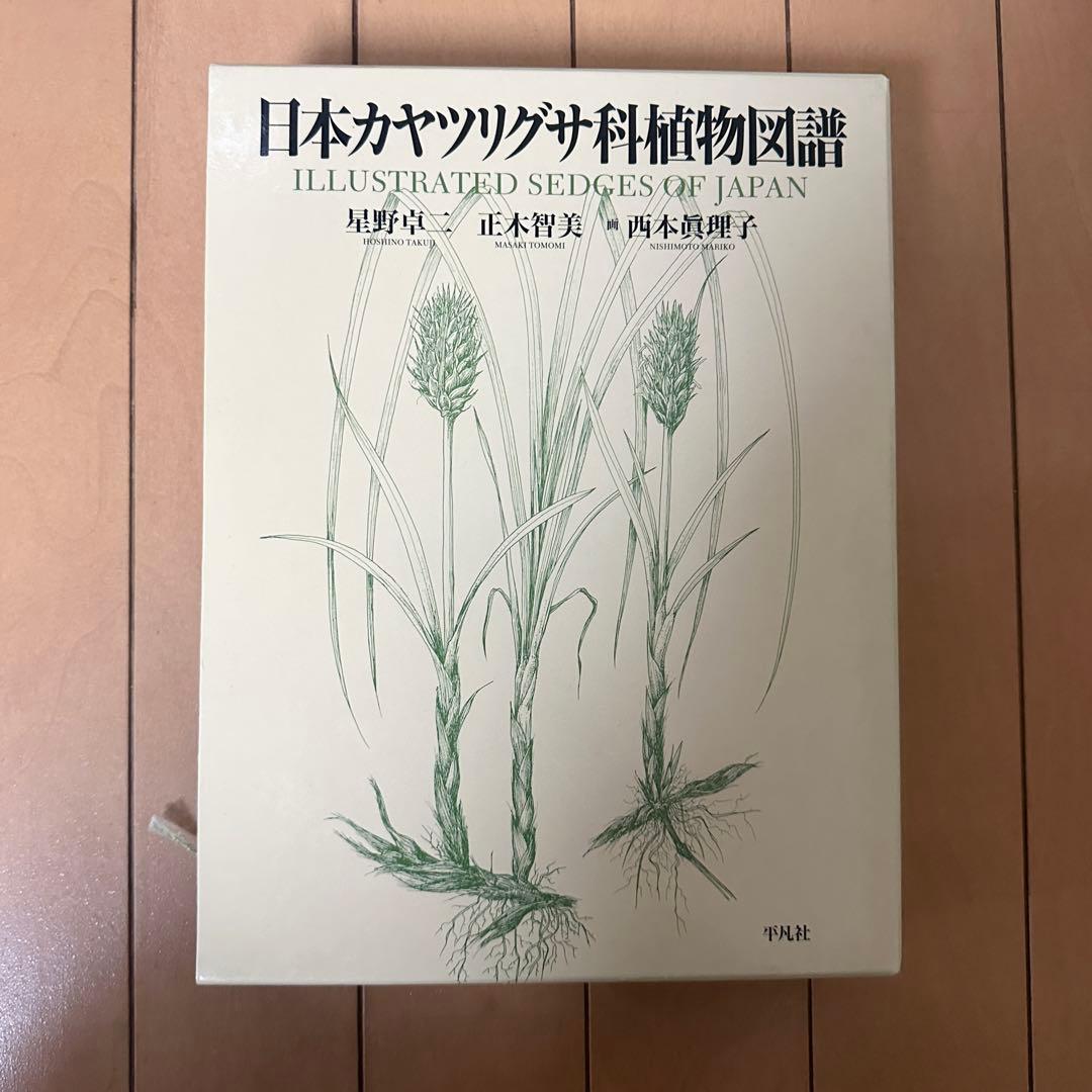 日本カヤツリグサ科植物図譜 日本カヤツリグサ科植物図譜 / 星野 卓二/正木 智美【著】/西本 眞理子
