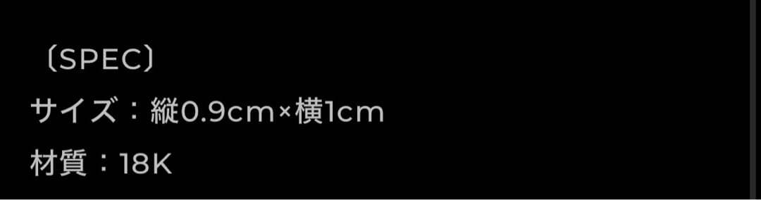 アクセサリー raydback -SMALL MARKING 18K GOLD PIERCE-