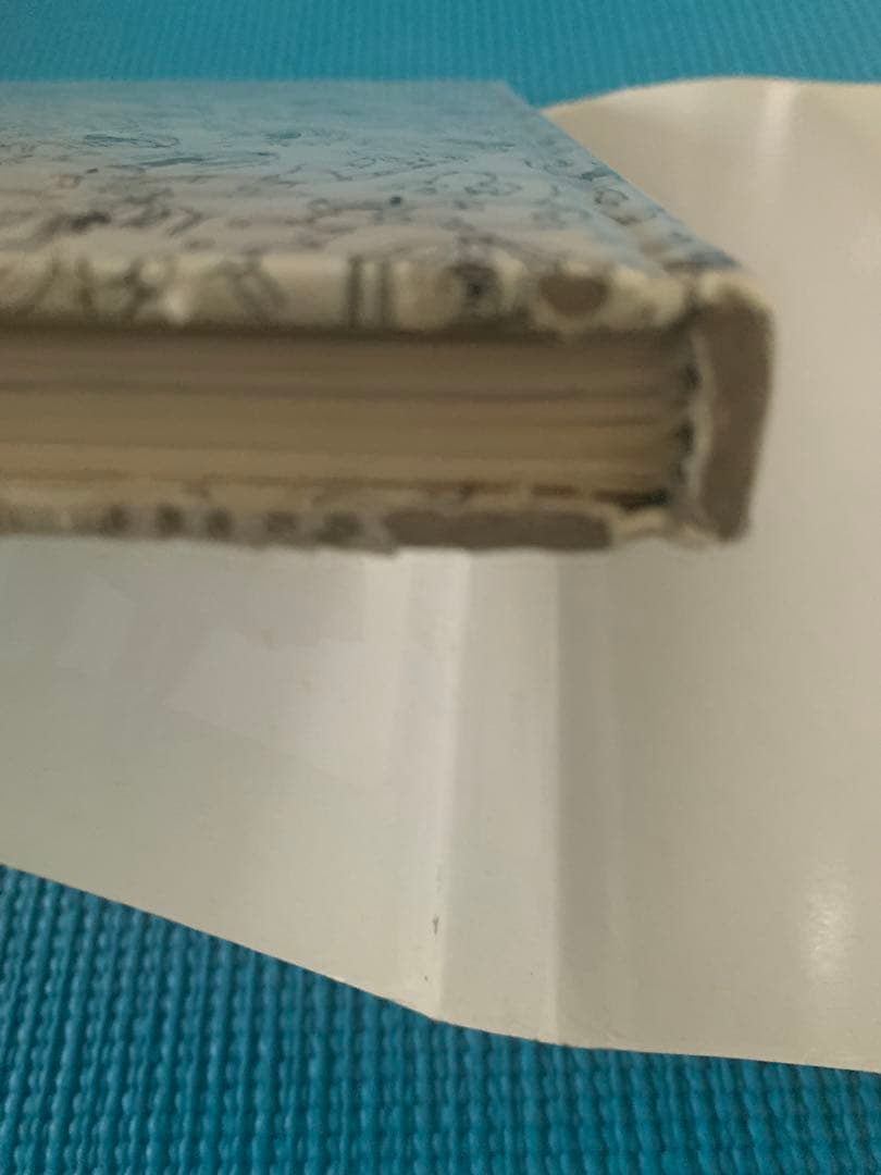 Furs for Men by Anna Municchi 【希少 激レア】