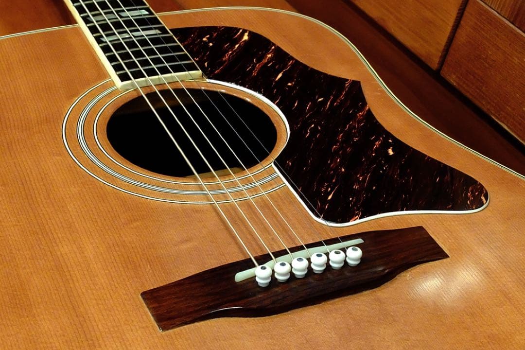 Chaki W-50 茶木弦楽器製作所 70年代 瀑鳴り 超希少 - メルカリ