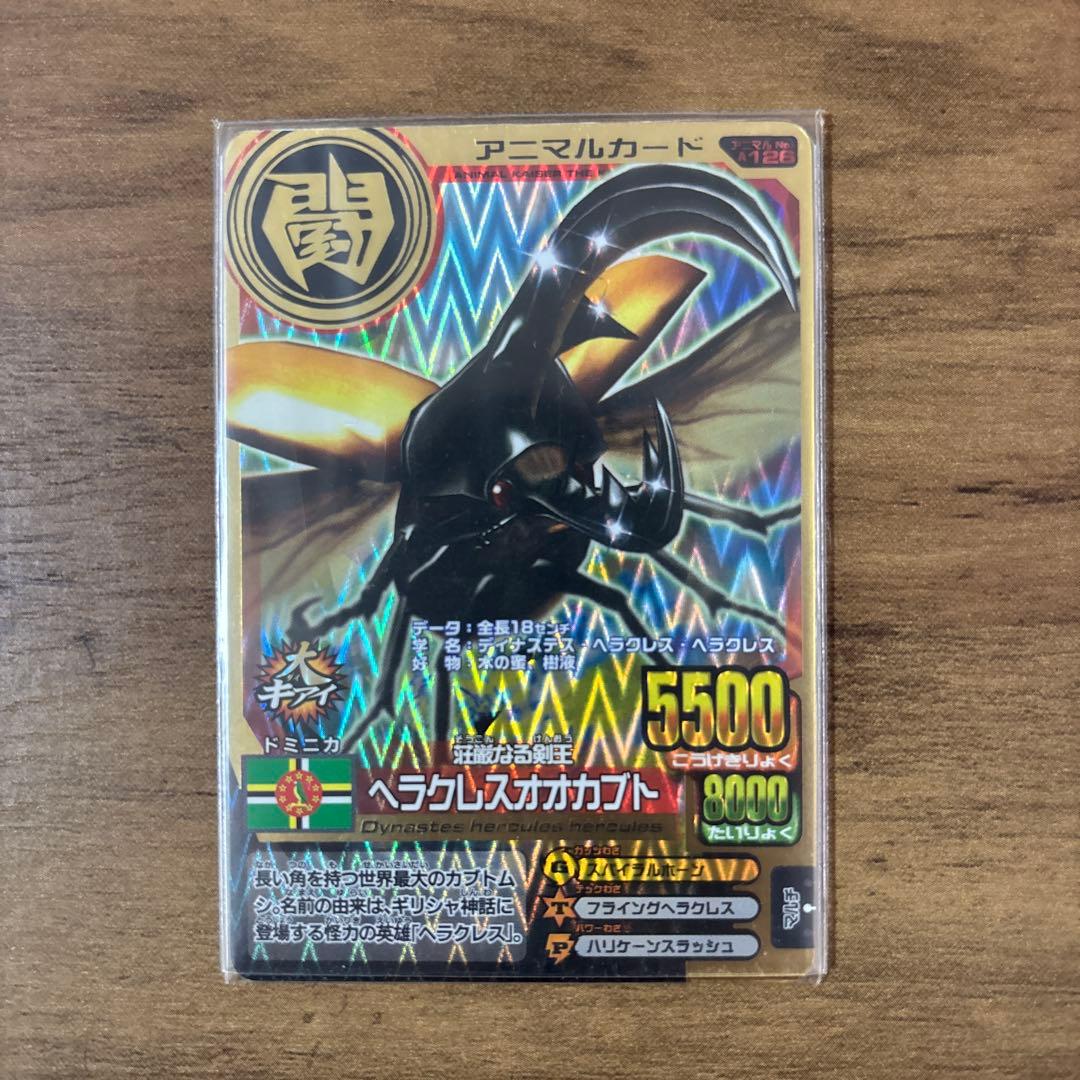 ラタトスク初購入の方プロフィール必読！様専用】アニマルカイザー