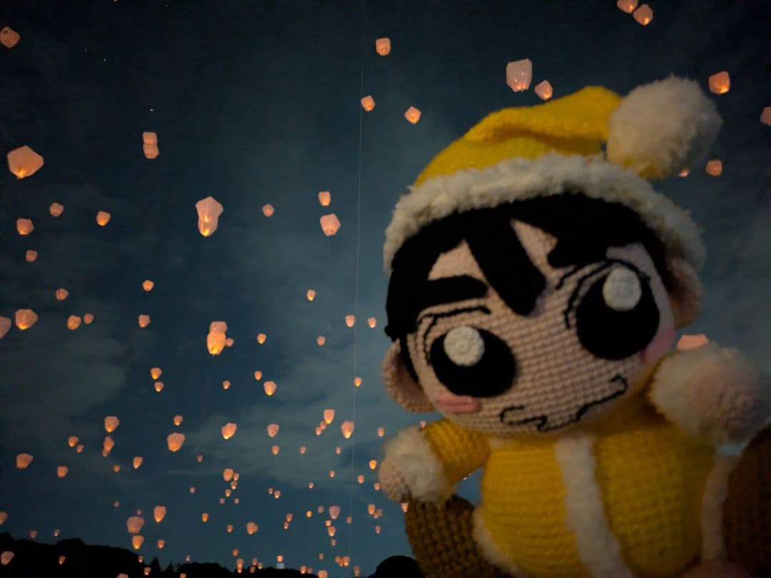 ももれもん様へのオーダー注文用の参考写真☆ （購入出来ません!） 同じ物２体☆