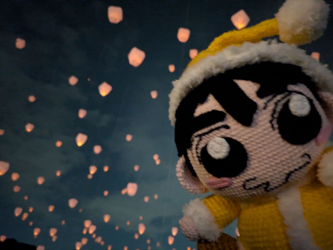 ももれもん様へのオーダー注文用の参考写真☆ （購入出来ません!） 同じ物２体☆