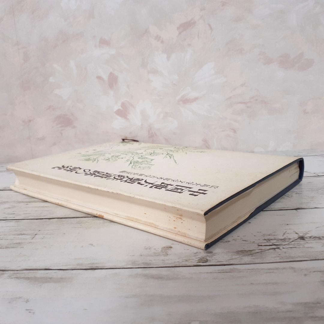 中国地方製鉄遺跡の研究 広島大学文学部考古学研究室 渓水社