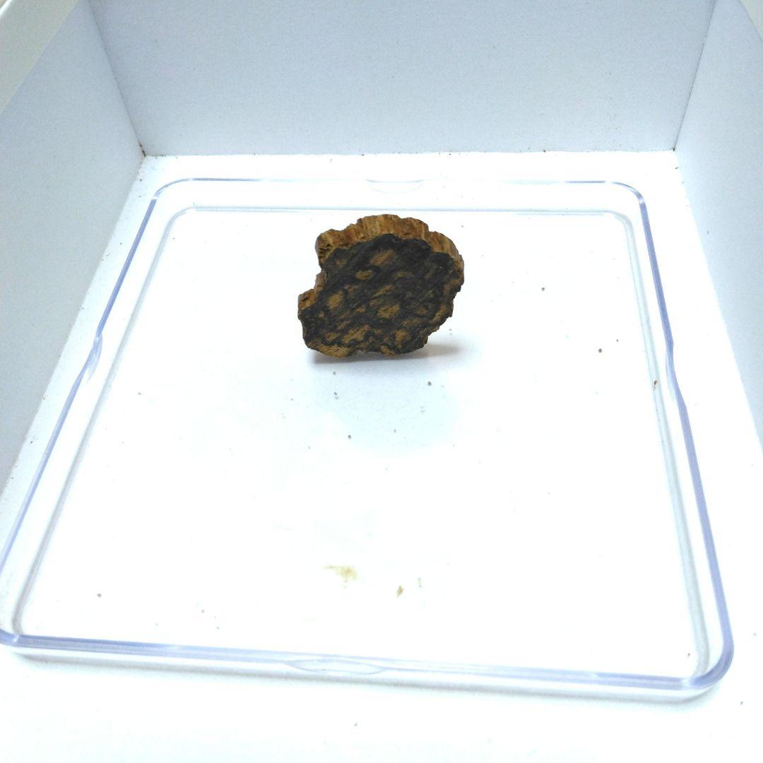 紅土沈香 B 2.59g
