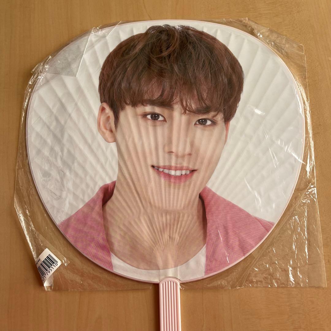 SEVENTEEN セブチ セブンティーン ミンギュ 日本ツアーHARU うちわ