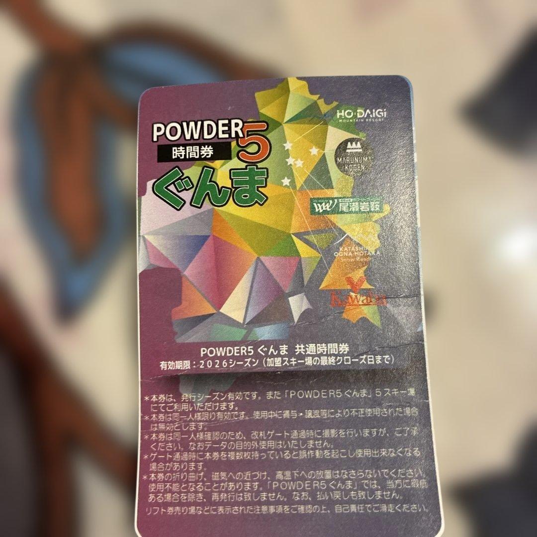 POWDER5 ぐんま GUN9時間券 残り9時間 - メルカリ